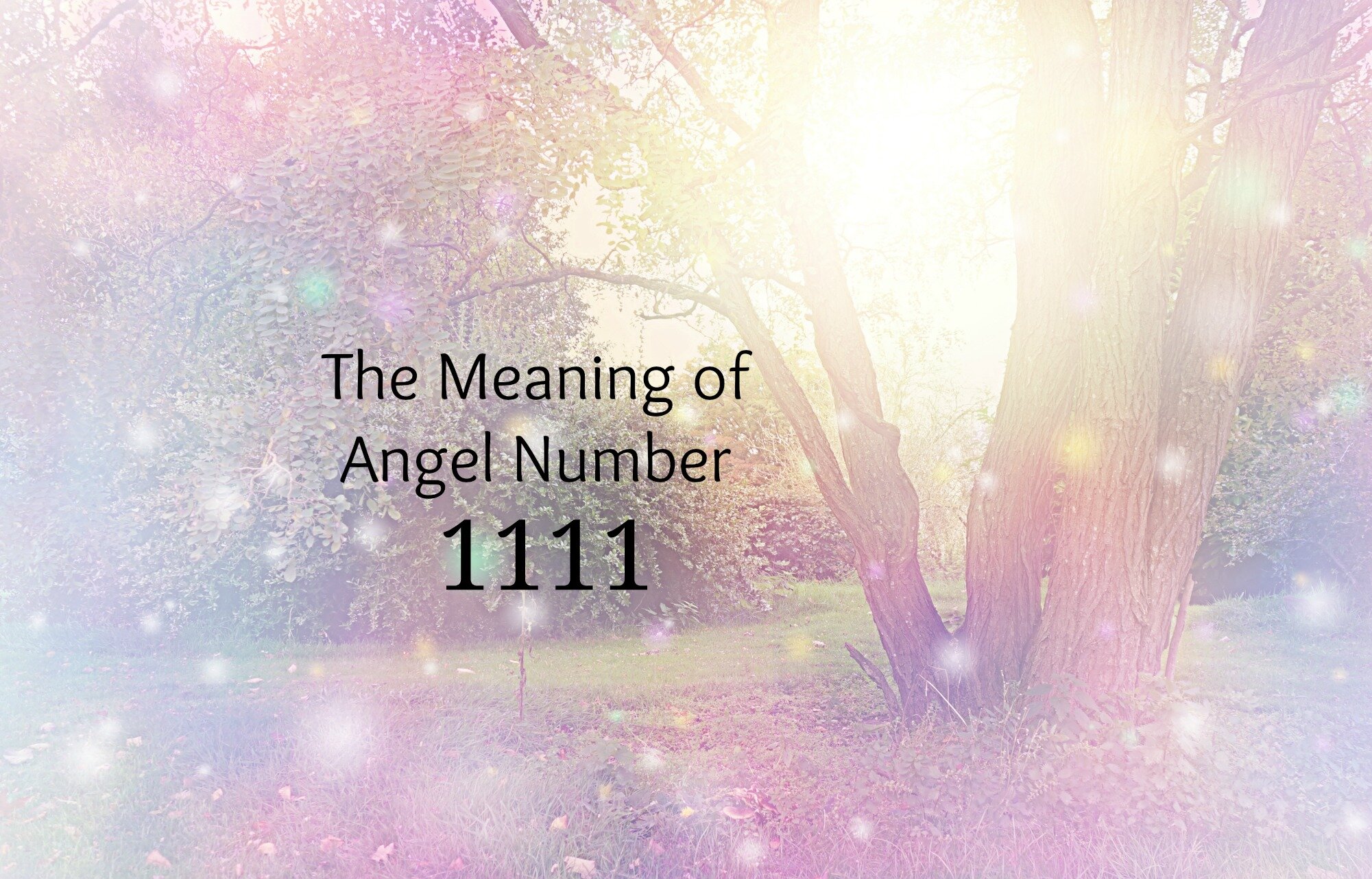 1111 angel number